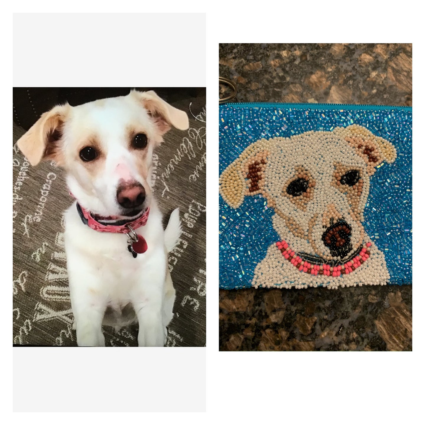 Furry Friends Coin Purse